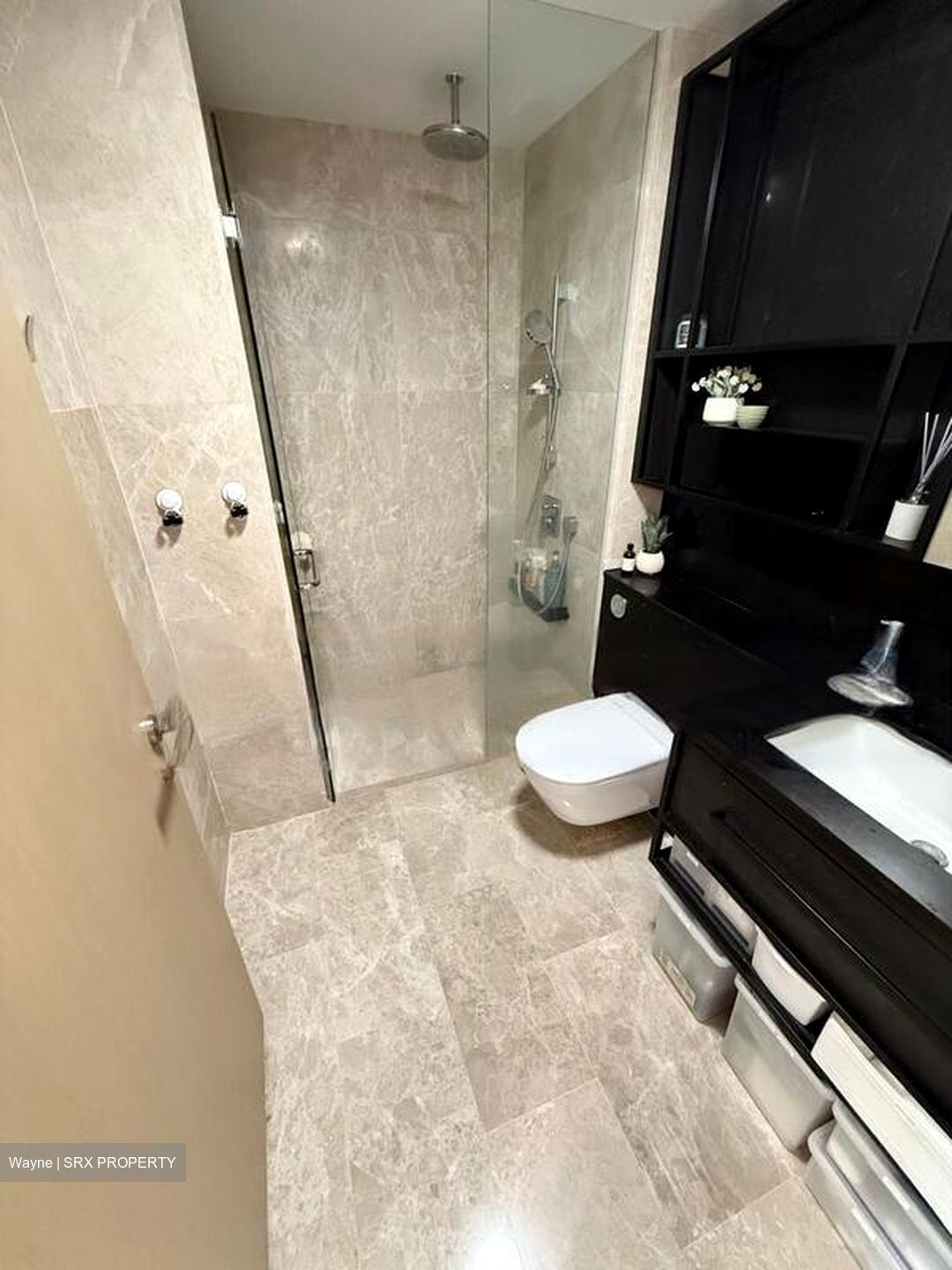Haus On Handy (D9), Condominium #462974651